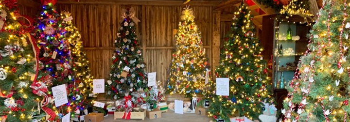 Brighten your days at Holiday events!